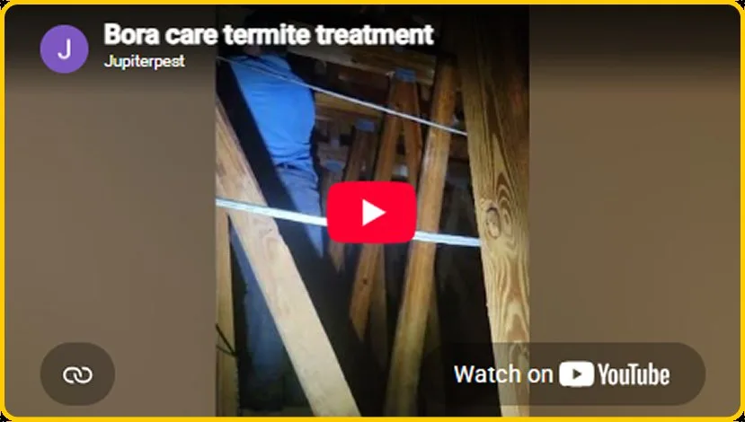 Still from the Bora care termite treatment video